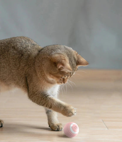 Pelota Inteligente para Mascotas