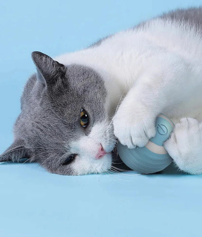 Pelota Inteligente para Mascotas